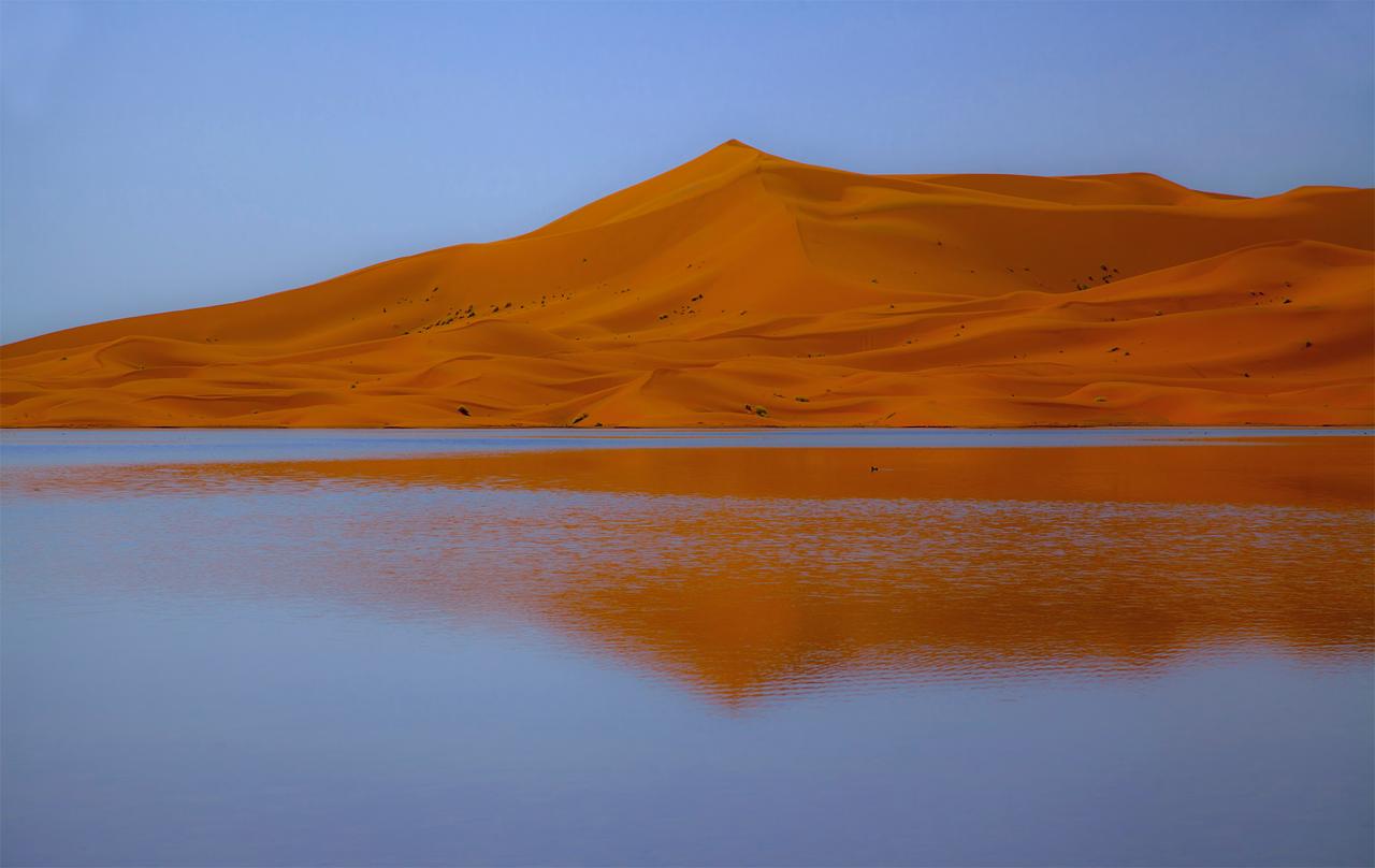 El silencio del desierto